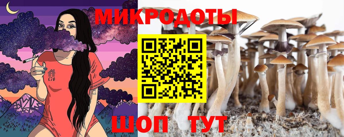 Волгоград  Псилоцибиновые грибы MAGIC MUSHROOMS  Вход с VPN  Галлюциногенные грибы Psilocybe 
